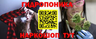 дмт Сланцы