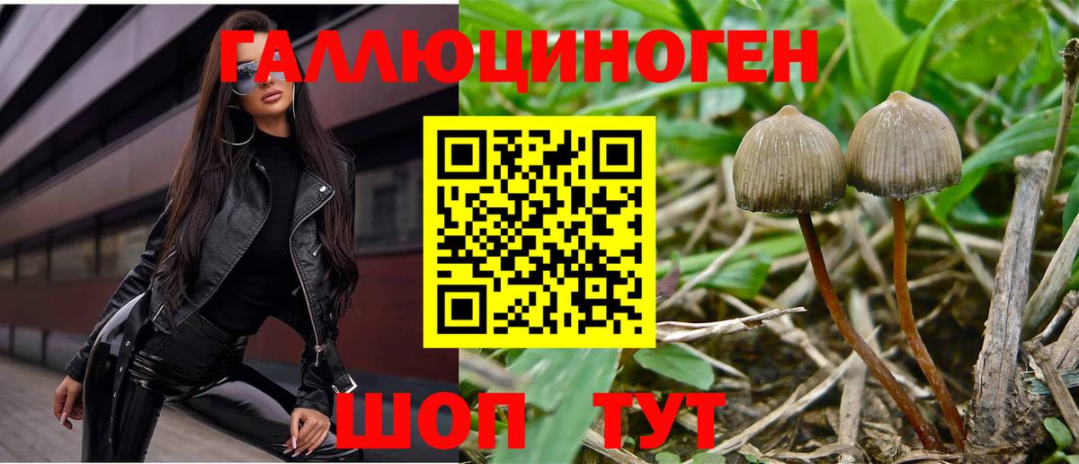Псилоцибиновые грибы ЛСД Можга
